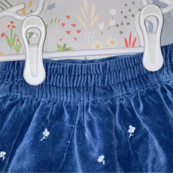 Blue Velvet Janie and Jack Skirt Baby Blue Floral Embroidery 3-6 Mo Hanukkah - Picture 12 of 13